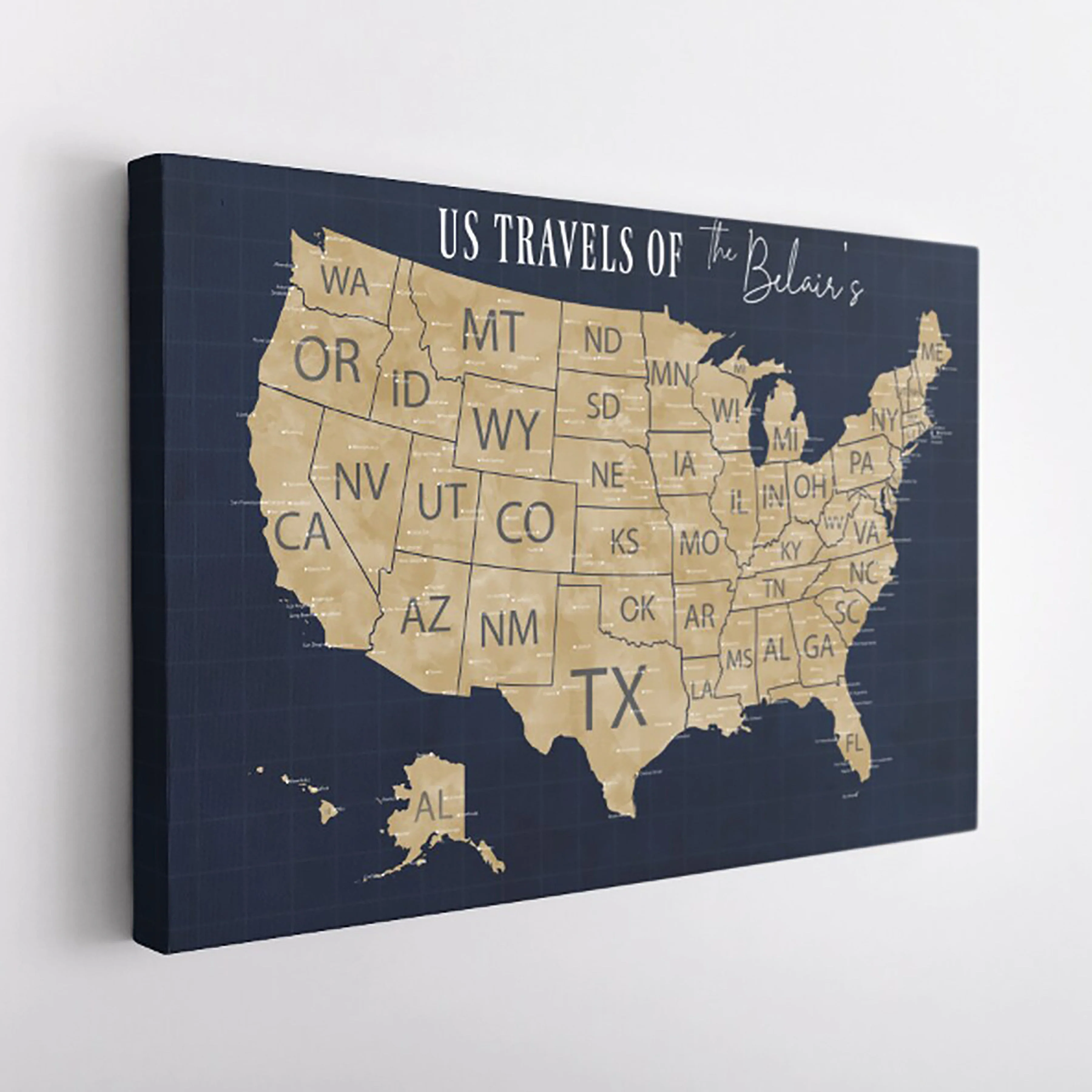 USA Push Pin Travel Map